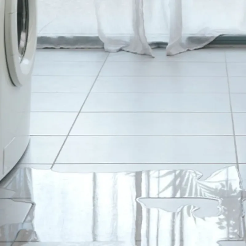 Appliance Leak Cleanup in Madison County, MO